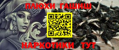 шишки Новозыбков