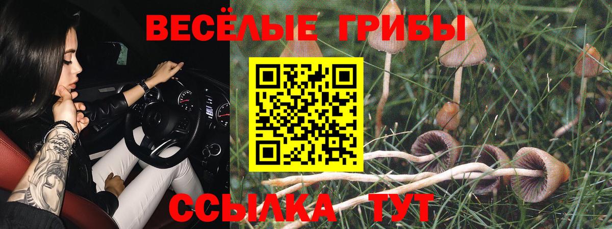 Алексин  Псилоцибиновые грибы мицелий  Вход с VPN 