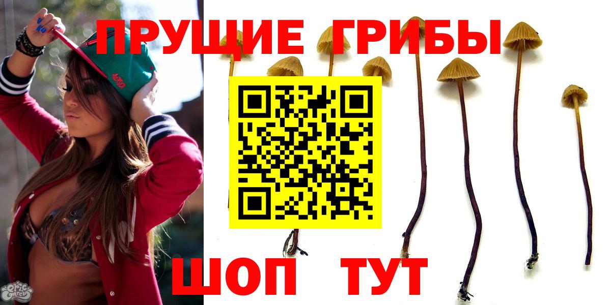 Псилоцибиновые грибы GOLDEN TEACHER Алексин